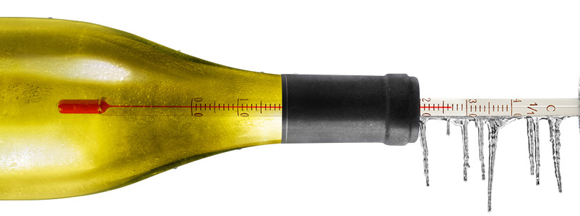 temperatura ideal vinho