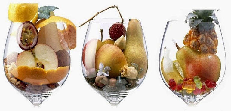 Classificação dos Aromas do Vinho