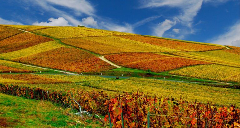 O Que Significa Cru?